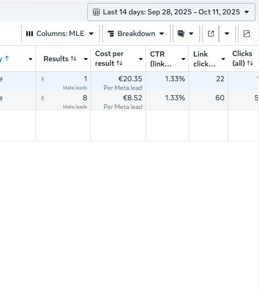facebook ads lead generation results for real estate facebook ads lead generation results for real estate